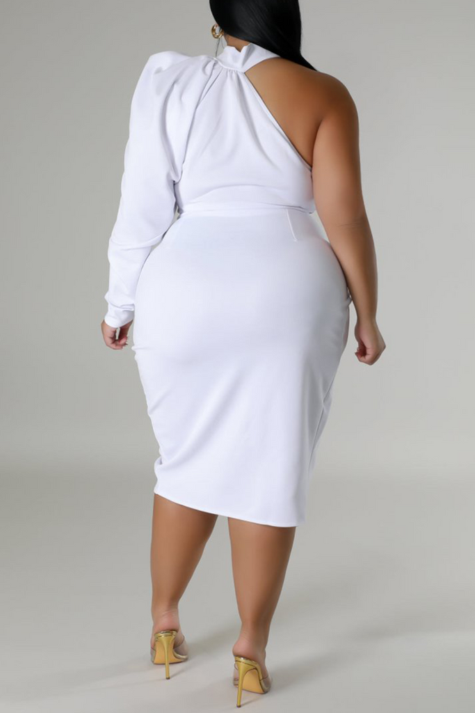 Elegant Solid Color Without Belt Turtleneck Wrapped Skirt Dresses