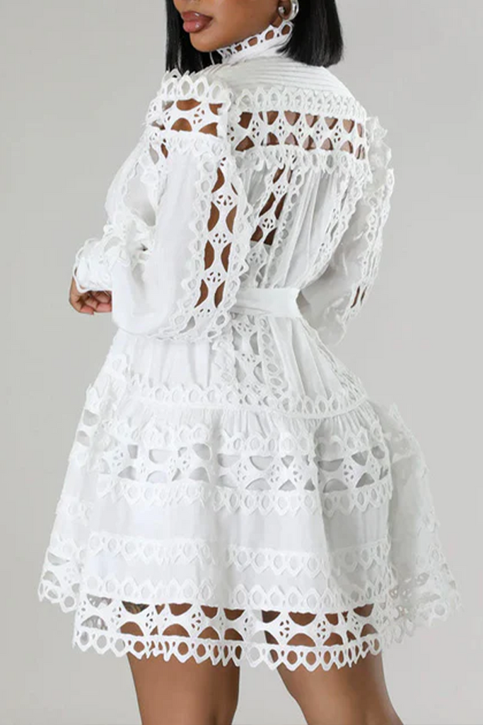 Elegant Solid Color Lace Buttons Mandarin Collar Mini Dresses