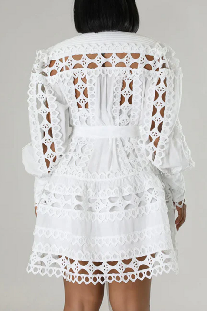 Elegant Solid Color Lace Buttons Mandarin Collar Mini Dresses