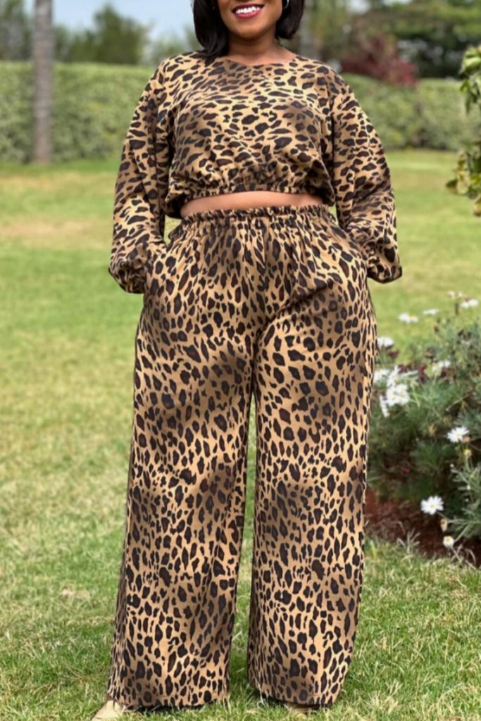 Casual Daily Leopard Print Basic O Neck Long Sleeve Two Pieces